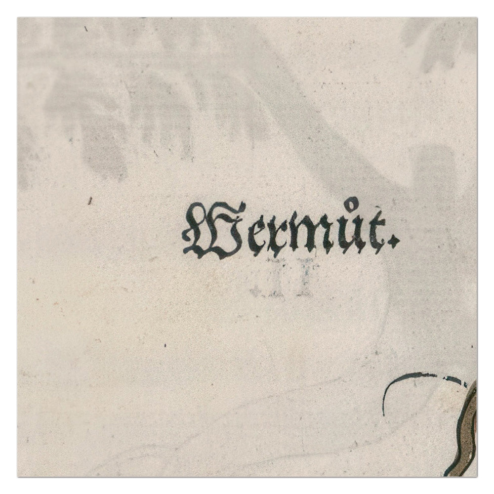 Artemisia Absinthium (Wormwood) – Leonhart Fuchs New Kreüterbuch, 1543