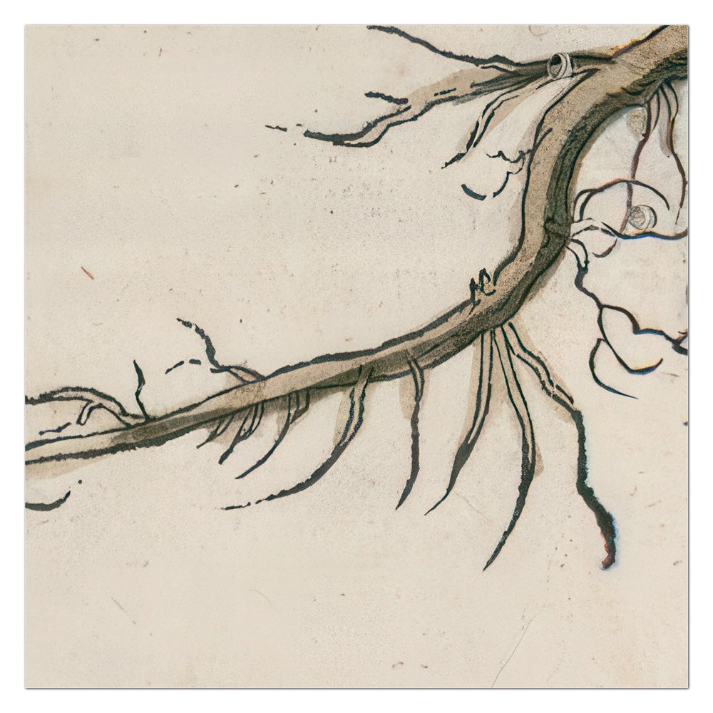 Artemisia pontica (Roman Wormwood) – Leonhart Fuchs New Kreüterbuch, 1543