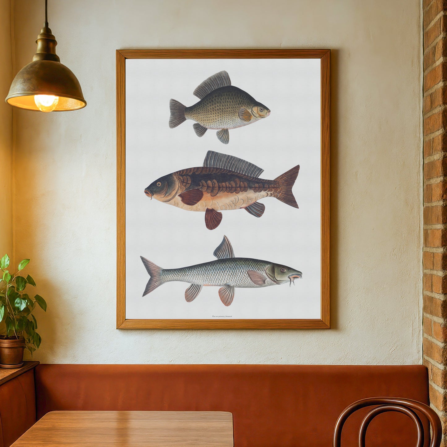 Vintage European Fish Art | Crucian Carp, Common Carp, Barbel | Digital Download | Bloch 18th Century