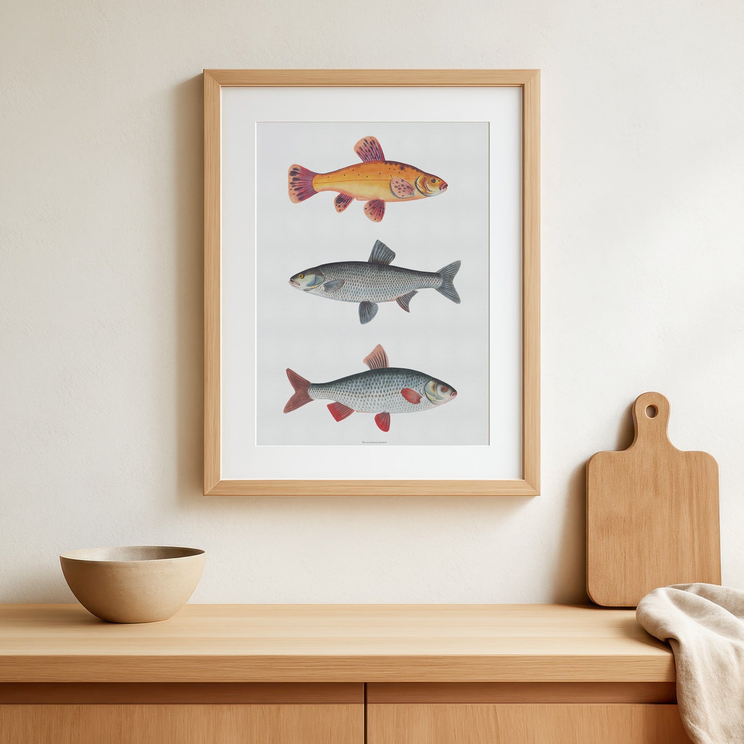 Vintage European Freshwater Fish Art | Digital Download | Gold Tench, Asp, Roach Chart | Bloch 18th Century Printable