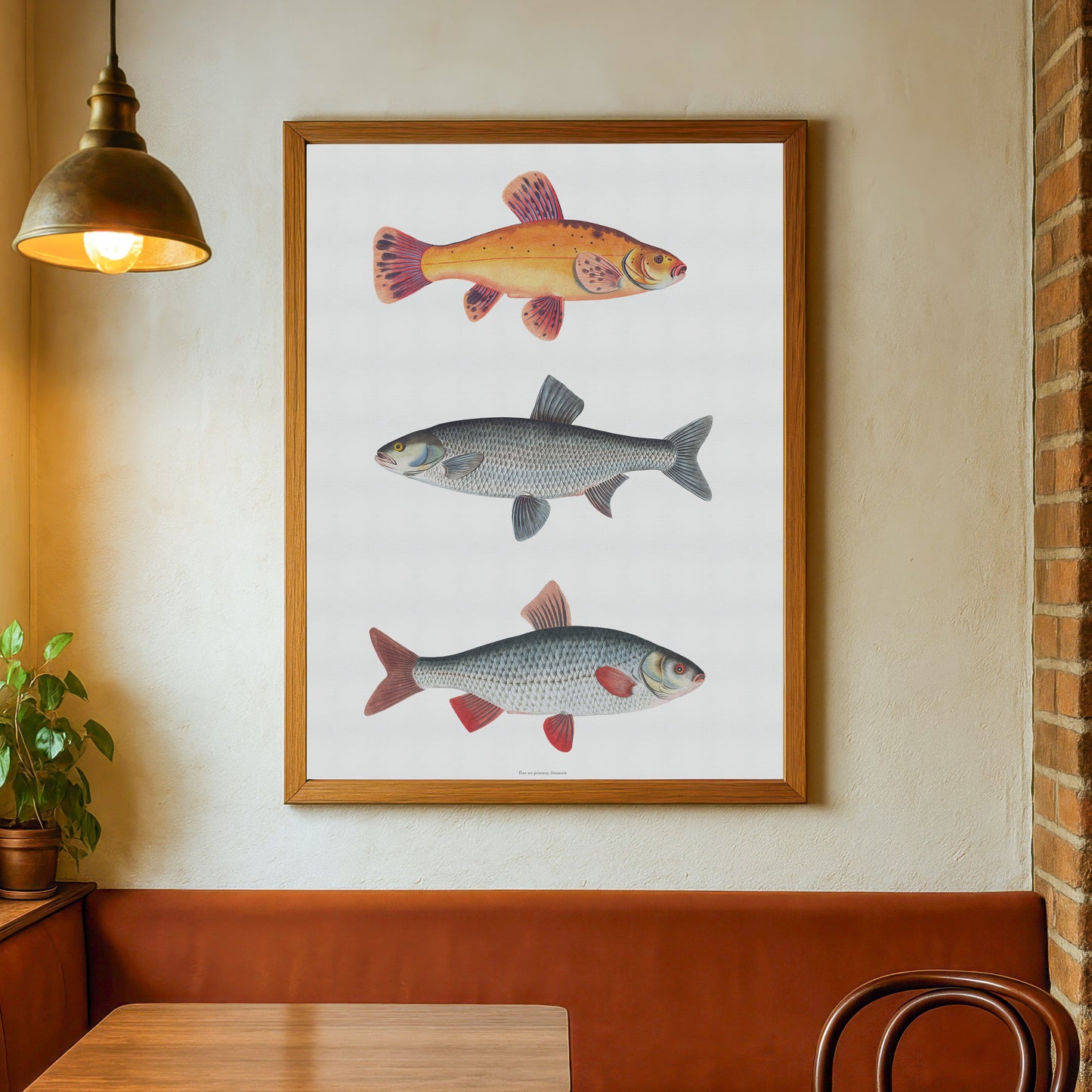 Vintage European Freshwater Fish Art | Digital Download | Gold Tench, Asp, Roach Chart | Bloch 18th Century Printable