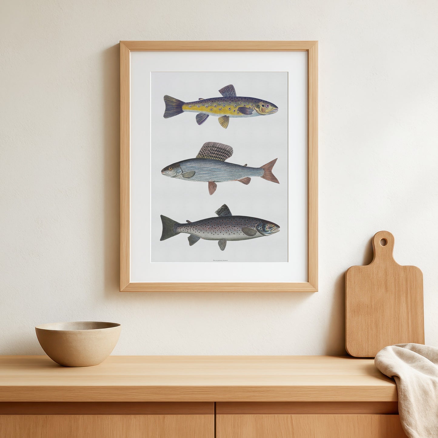 Fly Fishing Art | Stalling, Brown Trout & River Trout | Digital Download | Bloch 18th Century