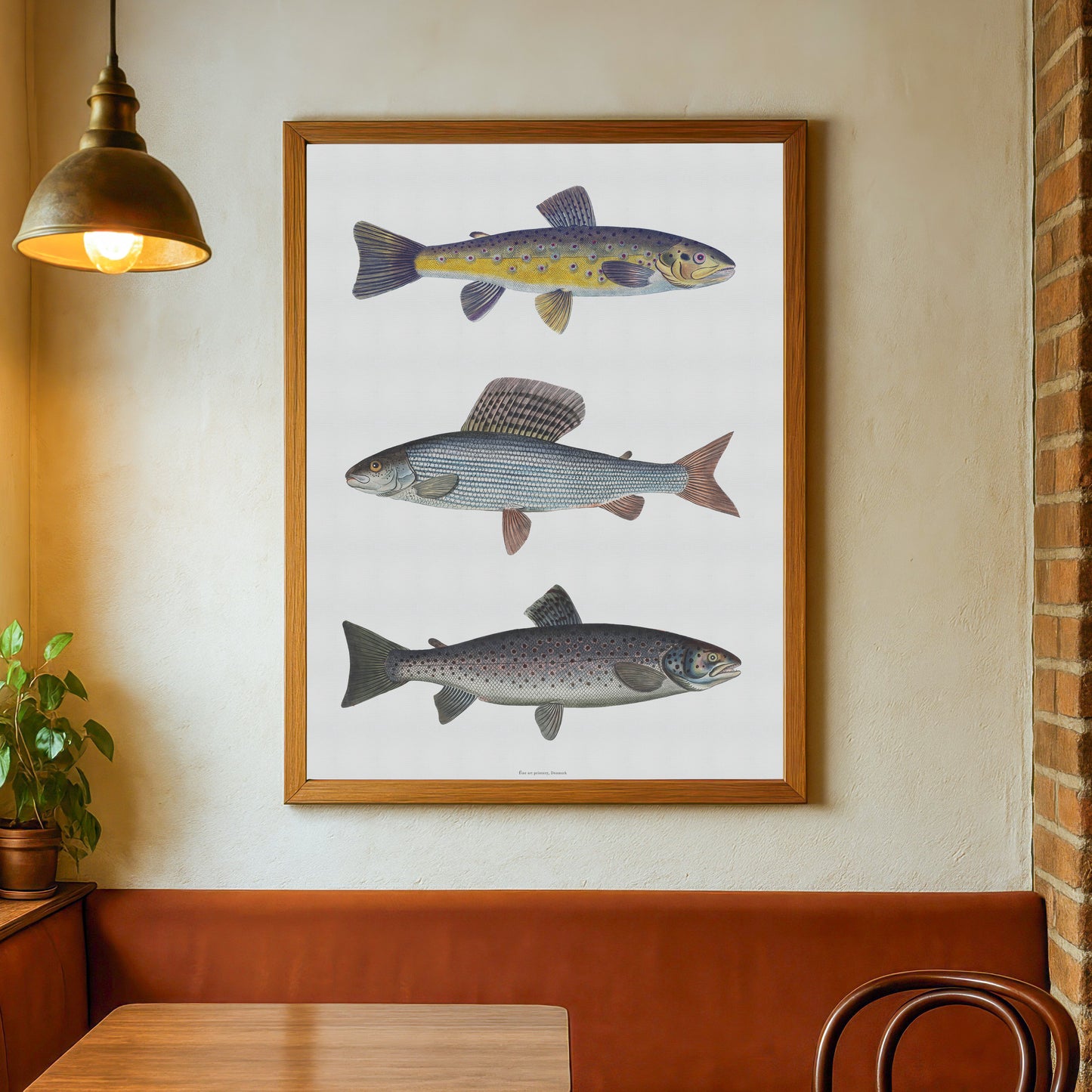 Fly Fishing Art | Stalling, Brown Trout & River Trout | Digital Download | Bloch 18th Century