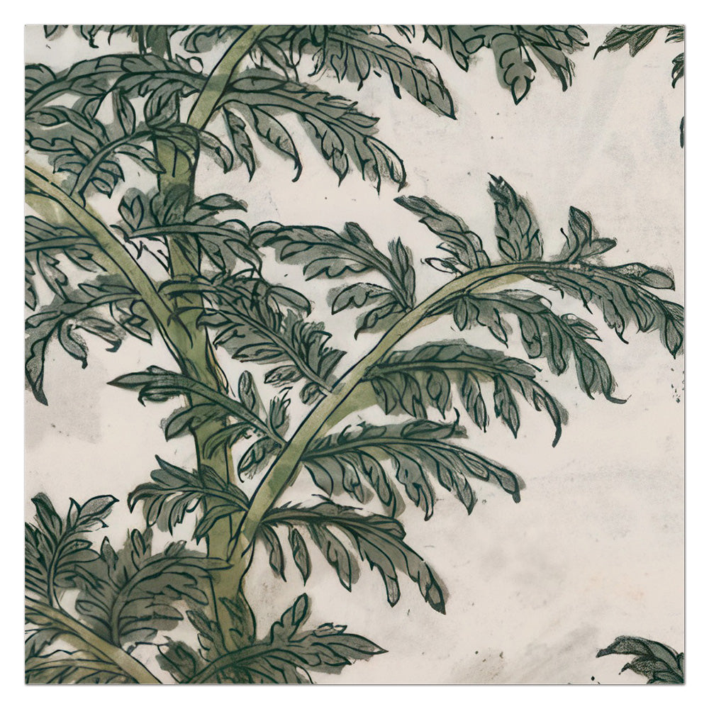 Descurainia sophia (Flixweed)– Leonhart Fuchs New Kreüterbuch, 1543