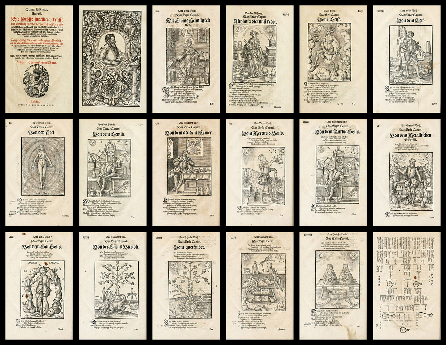 18 Alchemy illustrations from Quinta Essentia: The Masterwork of Leonhart Thurneysser