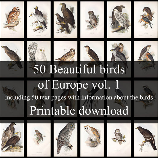 50 Beautiful birds - The Birds of Europe Vol. 1 - Complete collection